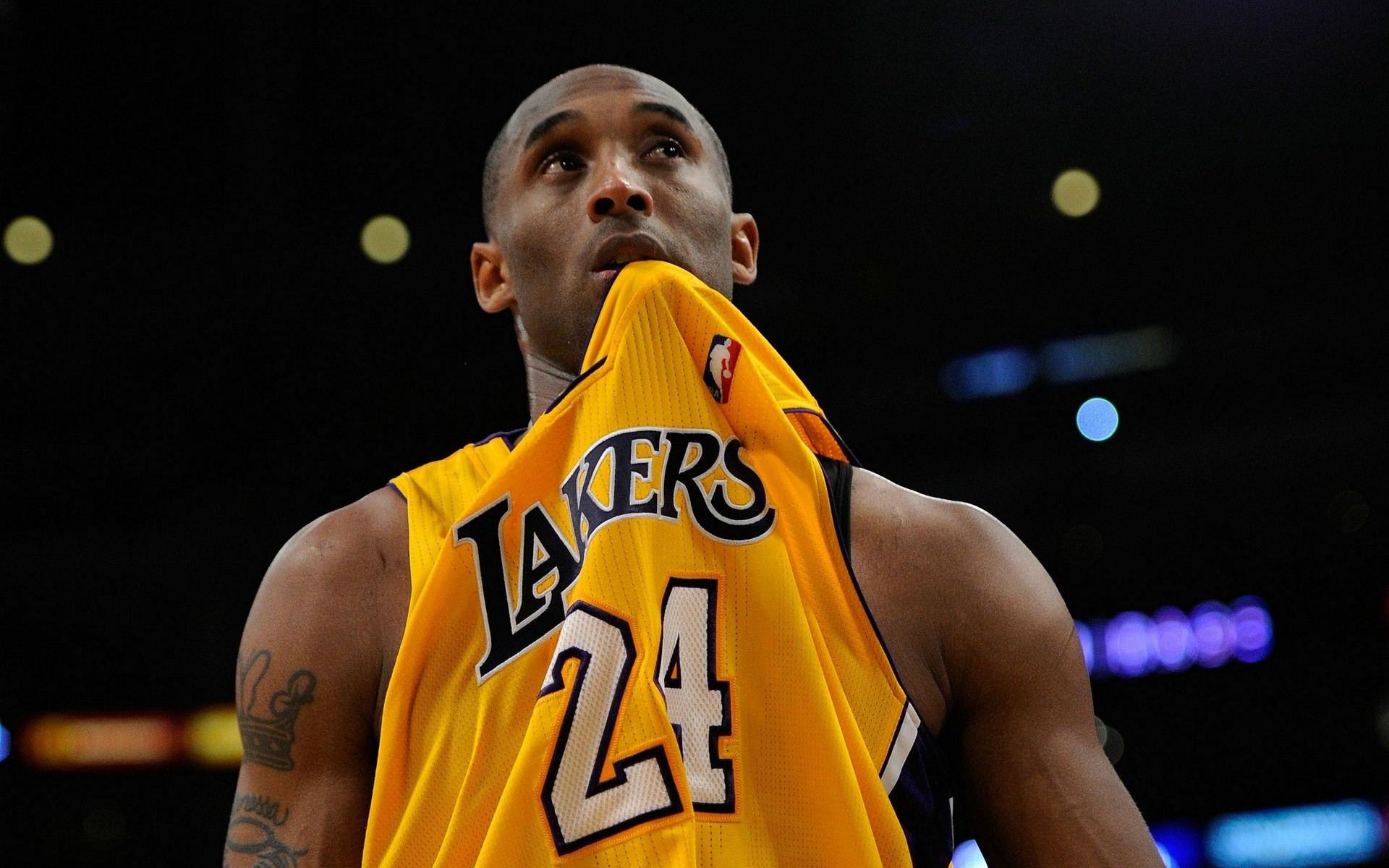 的产品线和 的产品线和